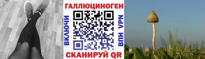 хочу наркоту  Сурск  Псилоцибиновые грибы прущие грибы 